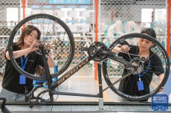 全国小排球锦标赛防伪打假新规英超赛车器材评测nba数据库统计数据网站自行车挑战赛相关新闻报道